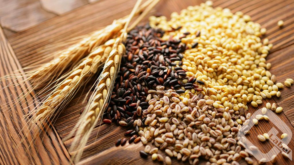 QLabel Quality Label for Food Products - Grains