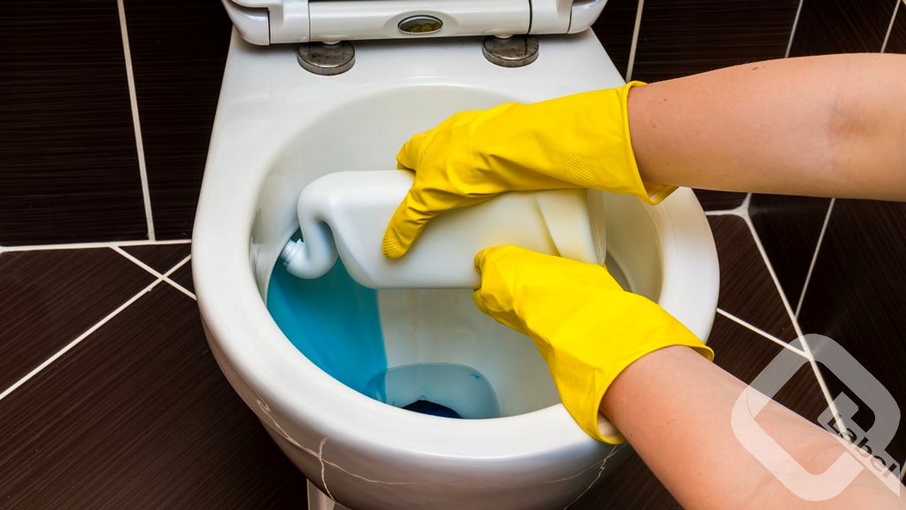 Etichetta di qualità QLabel sui prodotti per la pulizia - Detergenti per WC